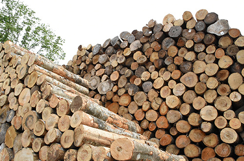 Timber yard