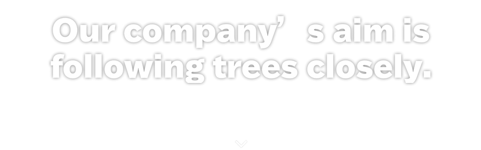 Our company’s aim is following trees closely