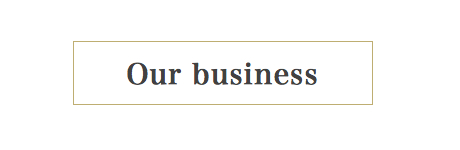 Our business