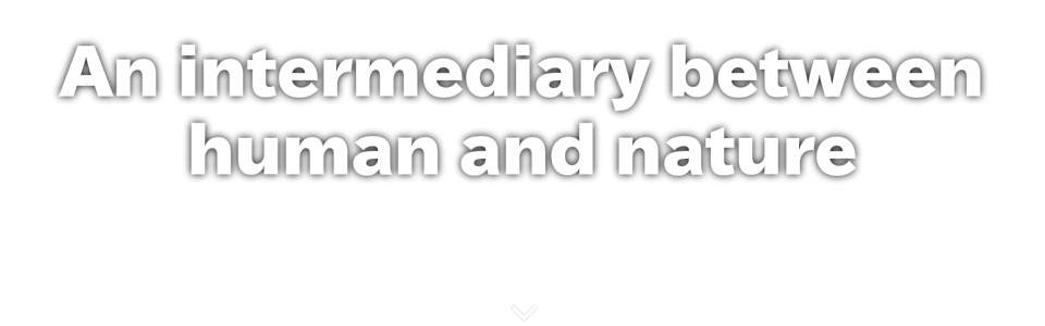 An intermediary between human and nature