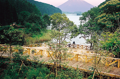 Fujimi Deck at Lake Tanuki (used Japanese chestnut materials)