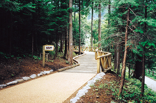 Wooden path leading to Fujimi Dick
