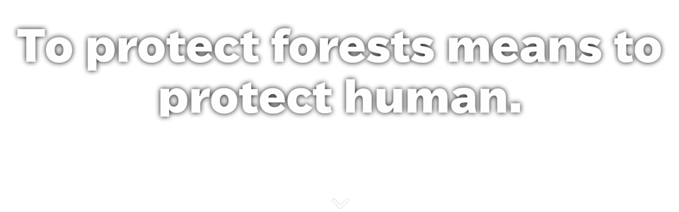 To protect forests means to protect human.