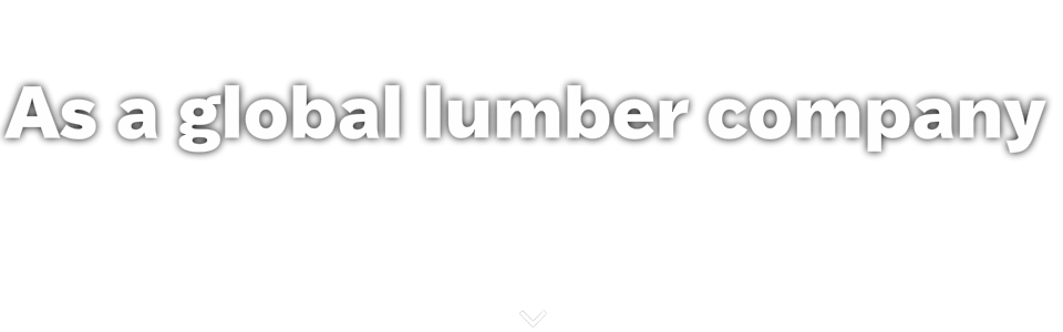 As a global lumber company