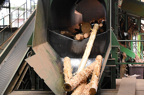 Barked logs
