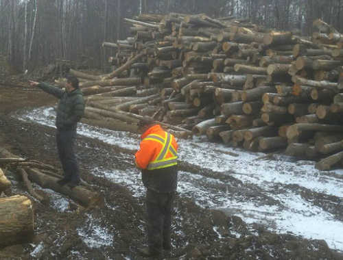 SANNOSUKE WOOD CANADA.INC.