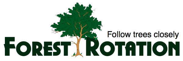 Follow trees closely