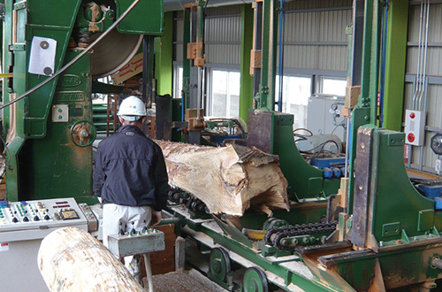 Sawing timber with twin bogie
