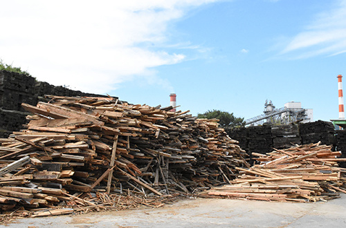 Wood waste yard